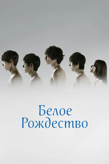Постер к фильму Белое Рождество (2011)