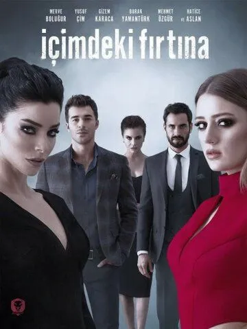 Смотреть онлайн Буря внутри меня (2017)