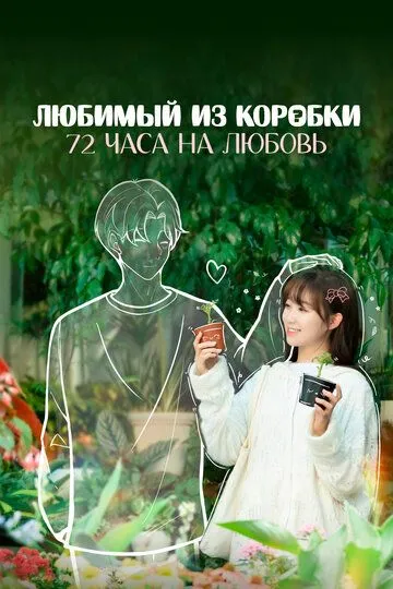 Постер к фильму Любимый из коробки: 72 часа на любовь (2024)