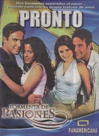 Постер к фильму Буря страстей (2004)