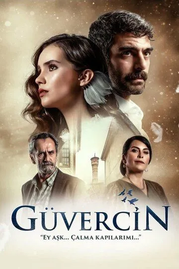 Постер к фильму Голубка (2019)