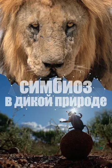 Постер к фильму Симбиоз в дикой природе (2023)