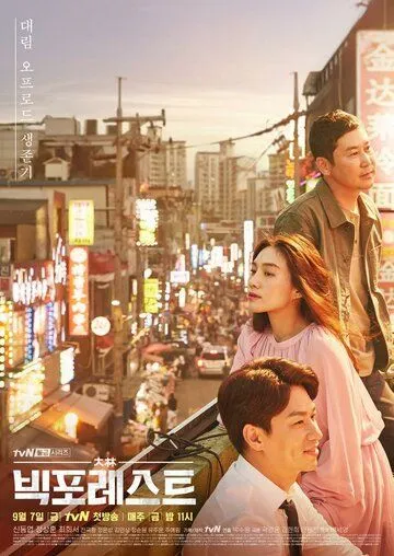 Постер к фильму Большой лес (2018)
