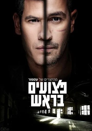 Постер к фильму Больные на голову (2013)