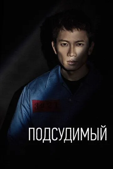 Постер к фильму Подсудимый (2017)