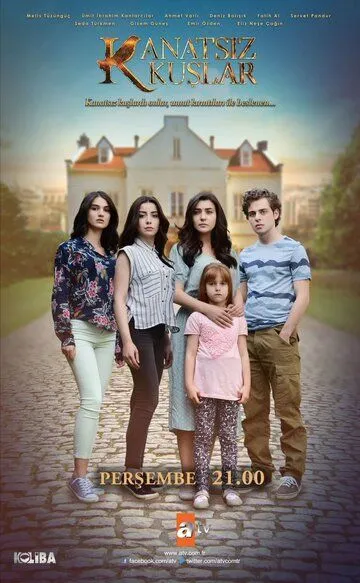 Постер к фильму Птицы без крыльев (2017)