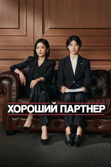 Хороший партнёр (2024)