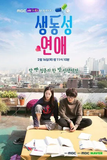 Постер к фильму Яркая романтика (2017)