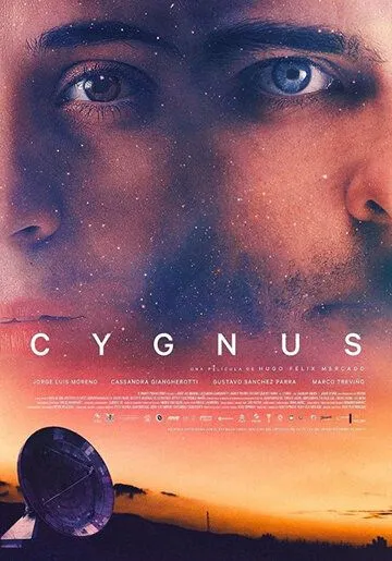 Постер к фильму Лебедь (2017)