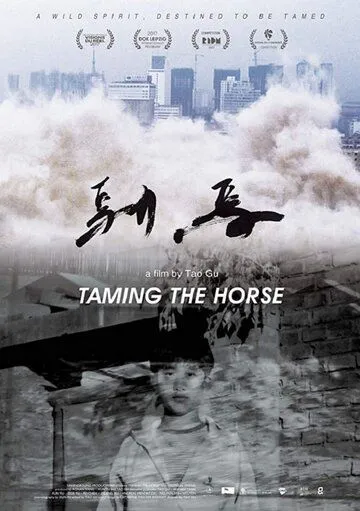Постер к фильму Taming the Horse (2017)