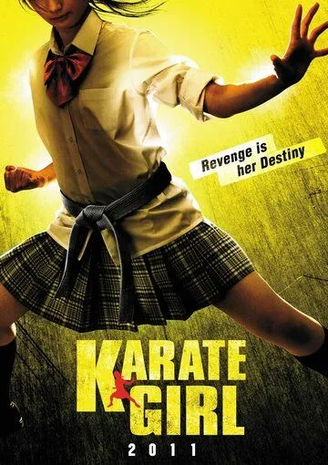 Постер к фильму Каратистка (2011)