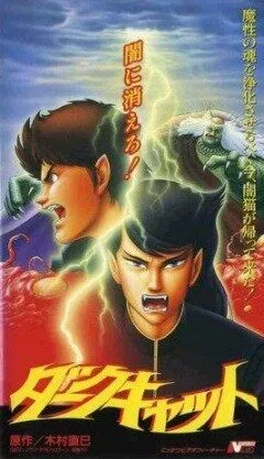 Постер к фильму Черный кот (1991)