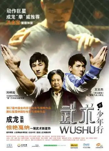 Постер к фильму Ушу (2008)