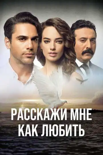 Постер к фильму Расскажи мне, как любить (2016)