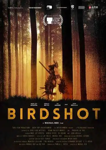 Постер к фильму Дробь (2016)