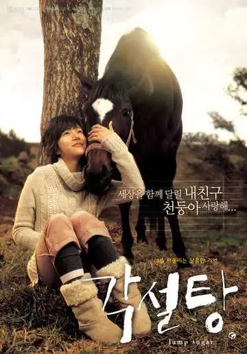 Постер к фильму Кусок сахара (2006)