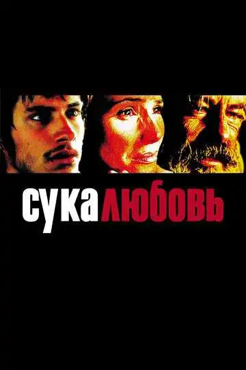 Постер к фильму Сука-любовь (2000)