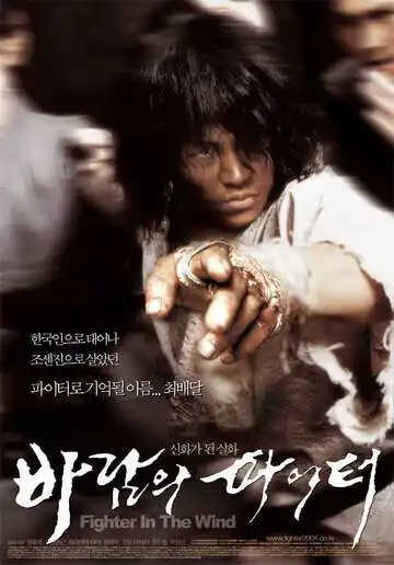 Постер к фильму Воин ветра (2004)