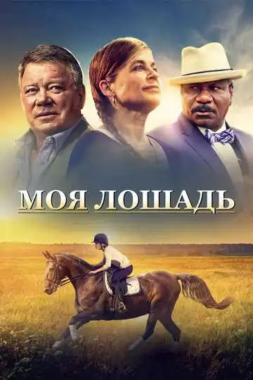 Постер к фильму Моя лошадь (2016)