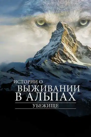 Постер к фильму Убежище. Истории о выживании в Альпах (2019)