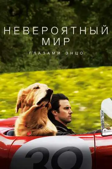 Постер к фильму Невероятный мир глазами Энцо (2019)