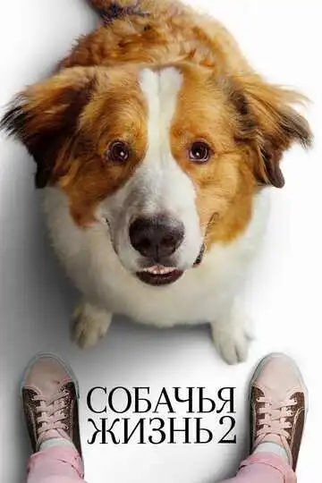 Постер к фильму Собачья жизнь 2 (2019)
