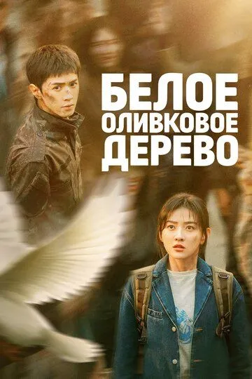 Постер к фильму Белое оливковое дерево (2025)